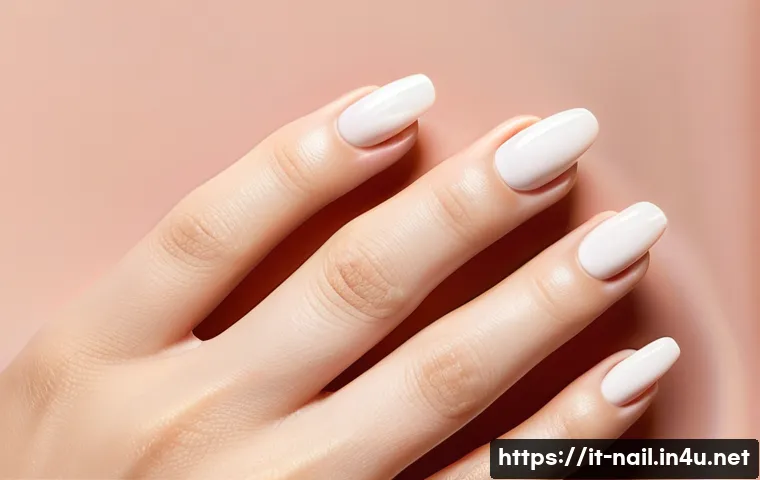 네일 오일과 큐티클 오일 추천 관련 이미지 1